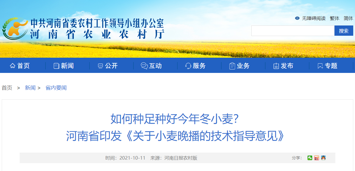 如何種足種好今年冬小麥？ 河南省印發(fā)《關(guān)于小麥晚播的技術(shù)指導(dǎo)意見》