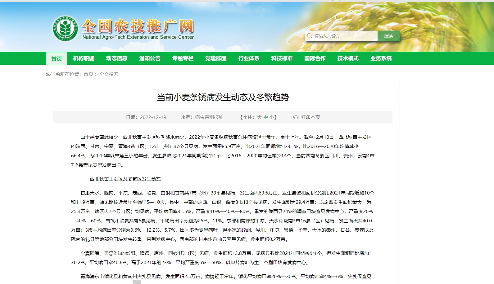 當(dāng)前小麥條銹病發(fā)生動(dòng)態(tài)及冬繁趨勢(shì)