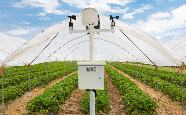 1624516116973645.png 田間小氣候氣象站 (5).png