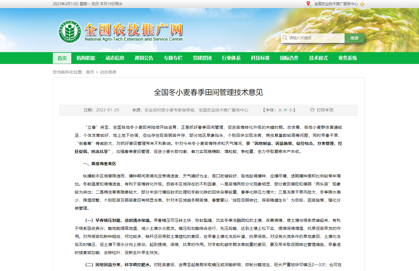全國(guó)冬小麥春季田間管理技術(shù)意見