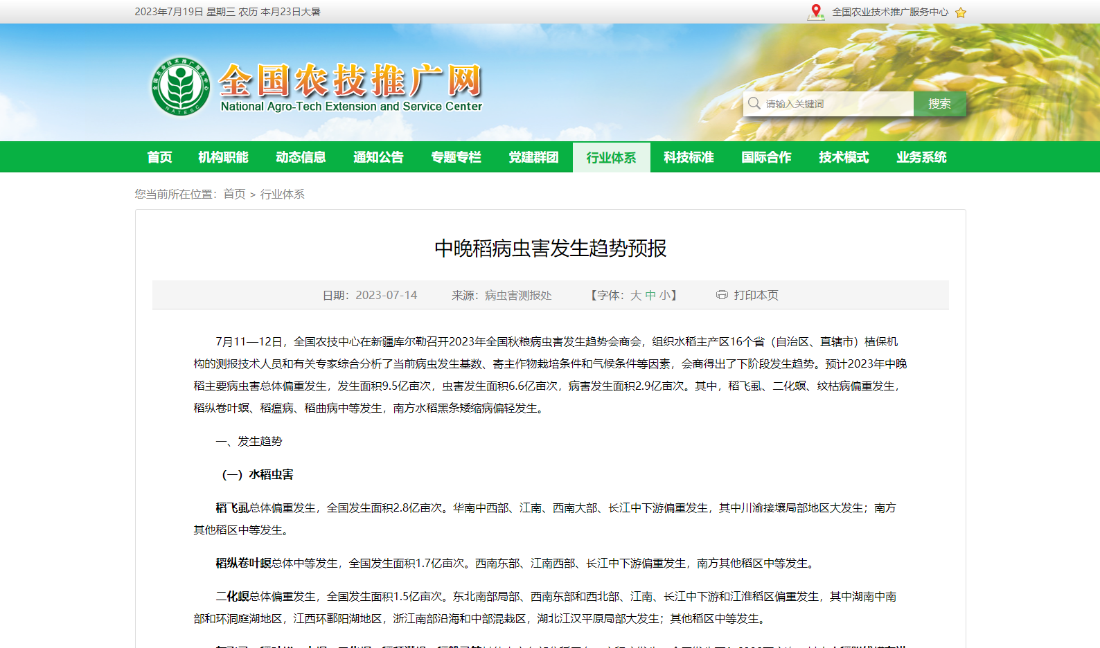 中晚稻病蟲害發(fā)生趨勢預(yù)報